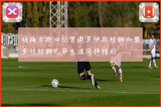 胡梅尔斯回忆曾邀罗伊斯特狮加盟多特特狮巴萨生涯同样精彩